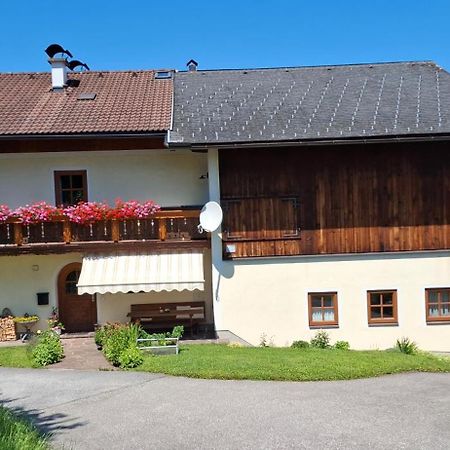 Ferienwohnung Loeffelberger Hallein Ngoại thất bức ảnh