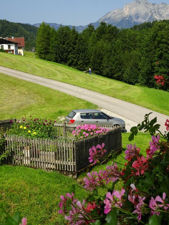 Ferienwohnung Loeffelberger Hallein Ngoại thất bức ảnh